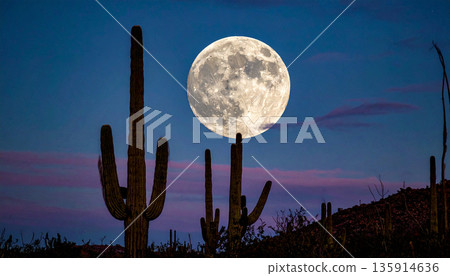 Moonrise Over Desert Cactus . Nature Concept. Generated Image 135914636