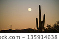 Moonrise Over Desert Cactus . Nature Concept. Generated Image 135914638
