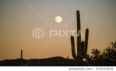 Moonrise Over Desert Cactus . Nature Concept. Generated Image 135914638
