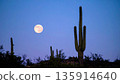 Moonrise Over Desert Cactus . Nature Concept. Generated Image 135914640