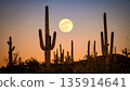 Moonrise Over Desert Cactus . Nature Concept. Generated Image 135914641