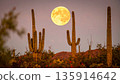 Moonrise Over Desert Cactus . Nature Concept. Generated Image 135914642