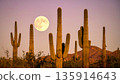 Moonrise Over Desert Cactus . Nature Concept. Generated Image 135914643