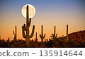 Moonrise Over Desert Cactus . Nature Concept. Generated Image 135914644