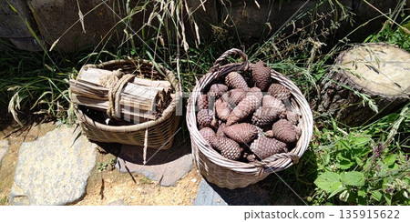 Scenery of Hobbiton [Matamata, New Zealand] 135915622