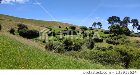 哈比屯風景 [紐西蘭瑪塔瑪塔] 135915624