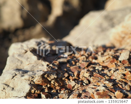 Dry Earth Texture - Stone and Sand Art - Artwork Found on the Coast - Copy Space of the Sea and Coast 135915647