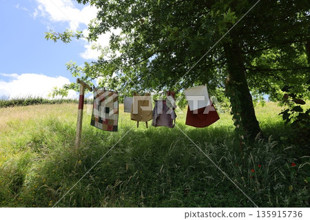 The idyllic scenery of Hobbiton [Matamata, New Zealand] 135915736