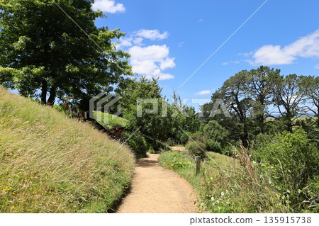 Scenery of Hobbiton [Matamata, New Zealand] 135915738