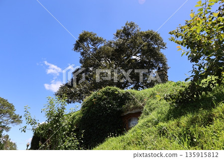 Bilbo and Frodo's house and acorn tree [Matamata, New Zealand] 135915812
