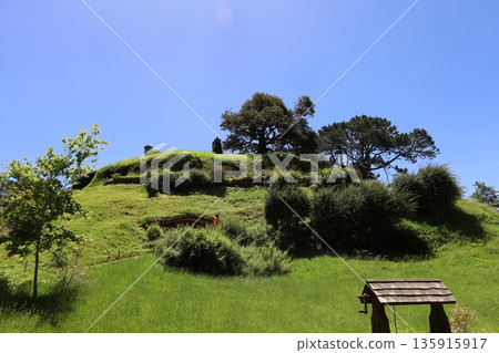 Scenery of Hobbiton [Matamata, New Zealand] 135915917