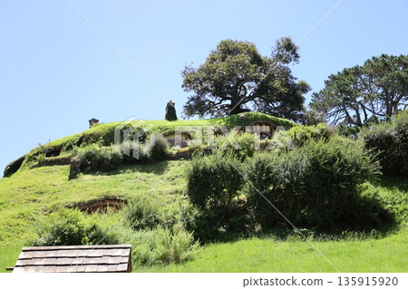 Scenery of Hobbiton [Matamata, New Zealand] 135915920