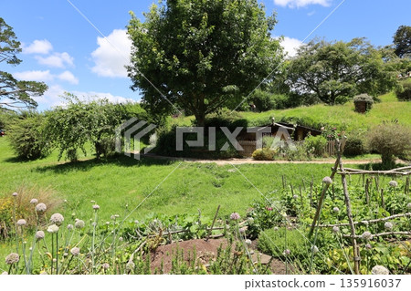 Scenery of Hobbiton [Matamata, New Zealand] 135916037