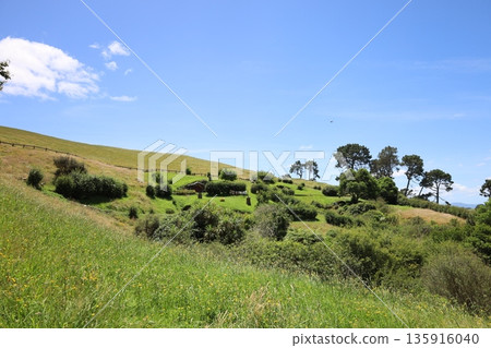 Scenery of Hobbiton [Matamata, New Zealand] 135916040