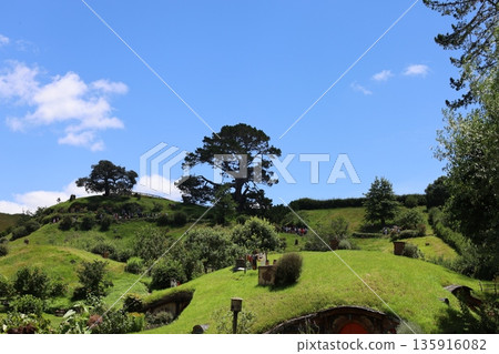 哈比屯風景 [紐西蘭瑪塔瑪塔] 135916082