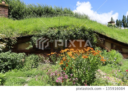 Scenery of Hobbiton [Matamata, New Zealand] 135916084