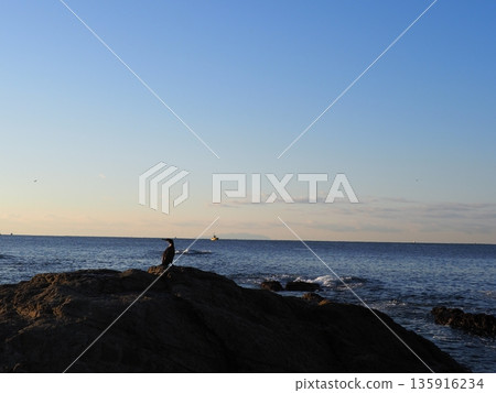 岩石和沙雕藝術。欣賞海景。留白。大自然編織的藝術背景。 岩石和沙雕藝術。欣賞海景。留白。大自然編織的藝術背景。 135916234