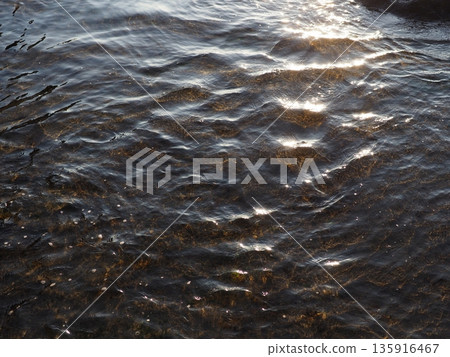 Art on the surface of water. A miracle in every moment. Copy space. Texture. Art woven by nature. 135916467