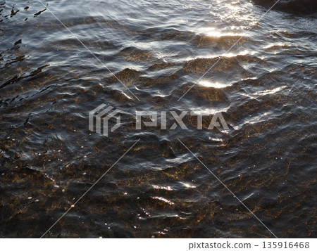 Art on the surface of water. A miracle in every moment. Copy space. Texture. Art woven by nature. 135916468