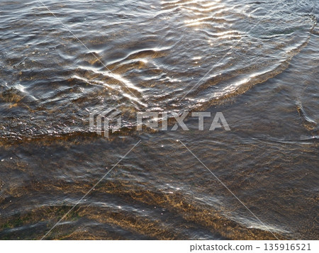 Art on the surface of water. A miracle in every moment. Copy space. Texture. Art woven by nature. Art on the surface of water. A miracle in every moment. Copy space. Texture. Art woven by nature. 135916521