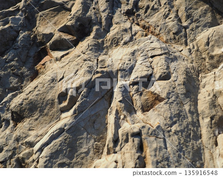 Art on the surface of water. A miracle in every moment. Copy space. Texture. Art woven by nature. Art on the surface of water. A miracle in every moment. Copy space. Texture. Art woven by nature. 135916548