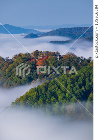 清晨,從日本岡山縣高橋市雲海展望台眺望,備中松山城彷彿漂浮在雲海之中。 清晨,從日本岡山縣高橋市雲海展望台眺望,備中松山城彷彿漂浮在雲海之中。 135916594