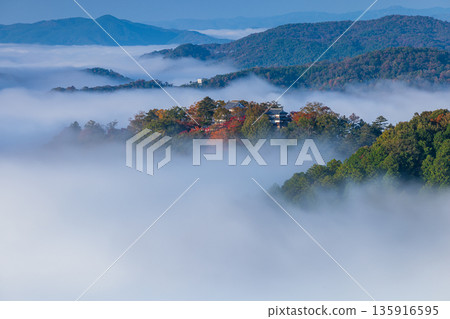 清晨,從日本岡山縣高橋市雲海展望台眺望,備中松山城彷彿漂浮在雲海之中。 清晨,從日本岡山縣高橋市雲海展望台眺望,備中松山城彷彿漂浮在雲海之中。 135916595