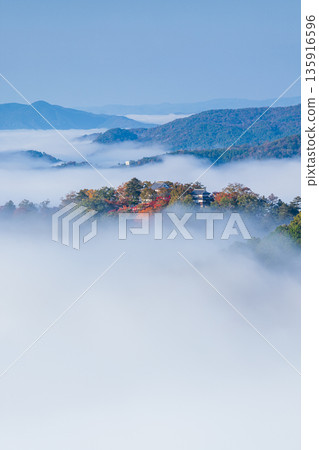 清晨,從日本岡山縣高橋市雲海展望台眺望,備中松山城彷彿漂浮在雲海之中。 清晨,從日本岡山縣高橋市雲海展望台眺望,備中松山城彷彿漂浮在雲海之中。 135916596