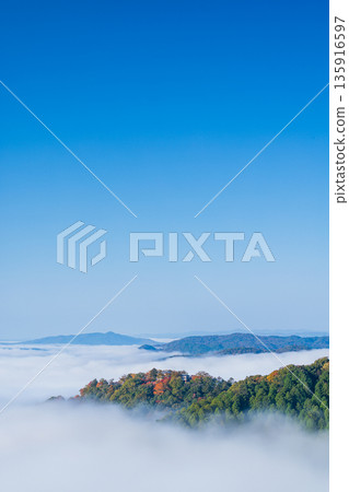 清晨，從日本岡山縣高橋市雲海展望台眺望，備中松山城彷彿漂浮在雲海之中。 135916597