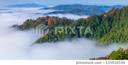Bitchu Matsuyama Castle floating in a sea of clouds in the early morning as seen from the Unkai Observatory in Takahashi City, Okayama Prefecture, Japan Bitchu Matsuyama Castle floating in a sea of clouds in the early morning as seen from the Unkai Observatory in Takahashi City, Okayama Prefecture, Japan 135916599