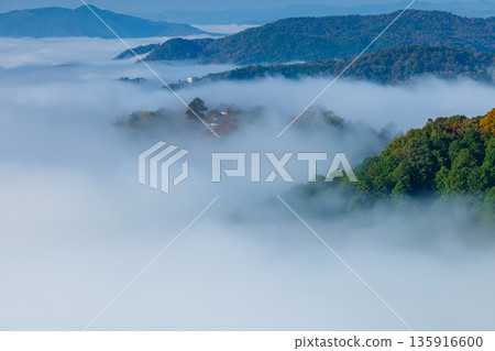 Bitchu Matsuyama Castle floating in a sea of clouds in the early morning as seen from the Unkai Observatory in Takahashi City, Okayama Prefecture, Japan 135916600