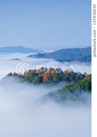 Bitchu Matsuyama Castle floating in a sea of clouds in the early morning as seen from the Unkai Observatory in Takahashi City, Okayama Prefecture, Japan Bitchu Matsuyama Castle floating in a sea of clouds in the early morning as seen from the Unkai Observatory in Takahashi City, Okayama Prefecture, Japan 135916610