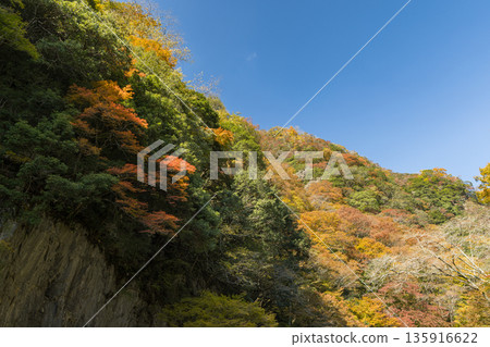 Autumn leaves at Kanba Falls Natural Park in Maniwa City, Okayama Prefecture, Japan Autumn leaves at Kanba Falls Natural Park in Maniwa City, Okayama Prefecture, Japan 135916622