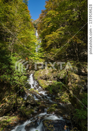 Autumn leaves and Kanba Falls in Kanba Falls Natural Park in Maniwa City, Okayama Prefecture, Japan Autumn leaves and Kanba Falls in Kanba Falls Natural Park in Maniwa City, Okayama Prefecture, Japan 135916628
