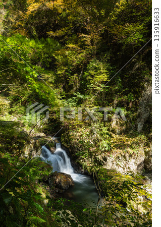 日本岡山縣真庭市冠葉瀑布自然公園的秋葉和小型瀑布 135916633