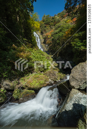 日本岡山縣真庭市坎波瀑布自然公園的秋葉和坎波瀑布 135916635