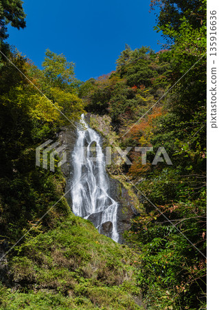 Autumn leaves and Kanba Falls in Kanba Falls Natural Park in Maniwa City, Okayama Prefecture, Japan Autumn leaves and Kanba Falls in Kanba Falls Natural Park in Maniwa City, Okayama Prefecture, Japan 135916636