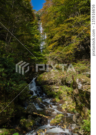 日本岡山縣真庭市坎波瀑布自然公園的秋葉和坎波瀑布 135916656