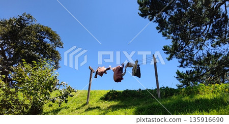 哈比屯(紐西蘭瑪塔瑪塔)的田園風光 哈比屯(紐西蘭瑪塔瑪塔)的田園風光 135916690