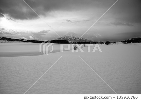 Mt. Yotei standing in the silent snowfields. Monochrome winter scenery. 135916760