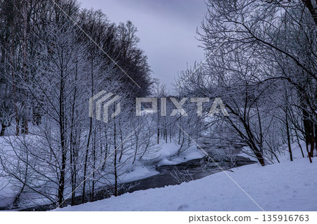 Snowy mountain stream flowing through a winter forest Snowy mountain stream flowing through a winter forest 135916763