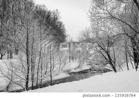 一條被雪覆蓋的靜謐溪流 一條被雪覆蓋的靜謐溪流 135916764