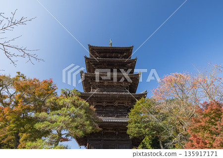 日本岡山縣總社市備中國分寺的五重塔 日本岡山縣總社市備中國分寺的五重塔 135917171