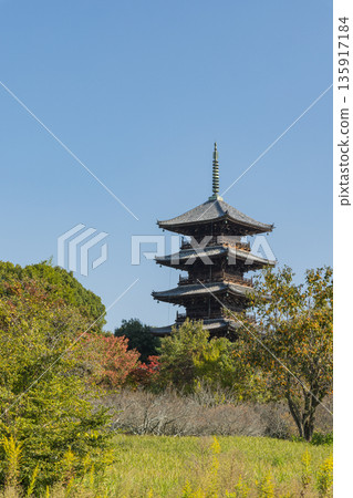 日本岡山縣總社市備中國分寺的五重塔 日本岡山縣總社市備中國分寺的五重塔 135917184
