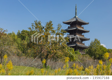 日本岡山縣總社市備中國分寺的五重塔 135917188