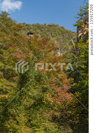 Autumn foliage at Gokei River, located upstream of the Makitani River, a tributary of the Takahashi River in Soja City, Okayama Prefecture, Japan, and the Kenbo and Undai peaks Autumn foliage at Gokei River, located upstream of the Makitani River, a tributary of the Takahashi River in Soja City, Okayama Prefecture, Japan, and the Kenbo and Undai peaks 135917209