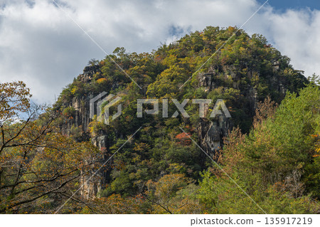 日本岡山縣總社市高橋川支流牧谷河上游五景川的秋葉 日本岡山縣總社市高橋川支流牧谷河上游五景川的秋葉 135917219