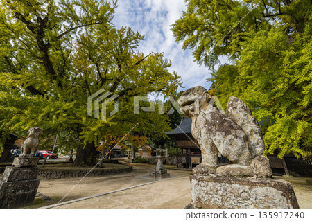 日本:岡山縣真庭市日斬福田神社的一棵大銀杏樹,在葉子變黃之前,正在變成淡淡的黃綠色。 日本:岡山縣真庭市日斬福田神社的一棵大銀杏樹,在葉子變黃之前,正在變成淡淡的黃綠色。 135917240