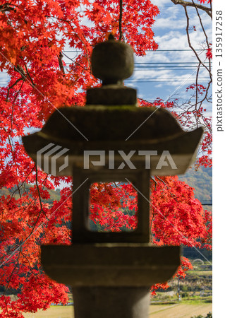 日本 - 岡山郡真庭市日斬德山神社的鮮紅楓葉 135917258