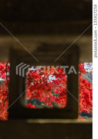 日本 - 岡山郡真庭市日斬德山神社的鮮紅楓葉 日本 - 岡山郡真庭市日斬德山神社的鮮紅楓葉 135917259